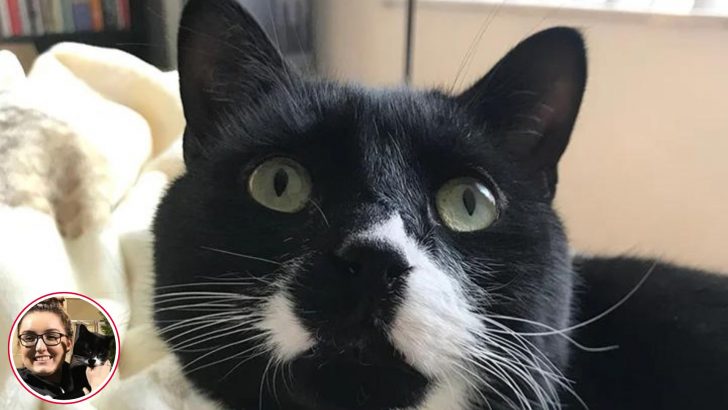 Sweet Tuxedo Cat With Special Needs Turns On His Charm Mode To Win A Loving Home