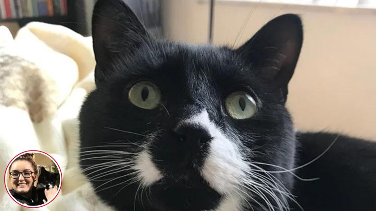 tuxedo cat with special needs