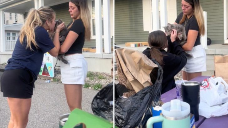 This Video Of College Roommates Saying Goodbye To Their Cat Left Everyone In Tears 