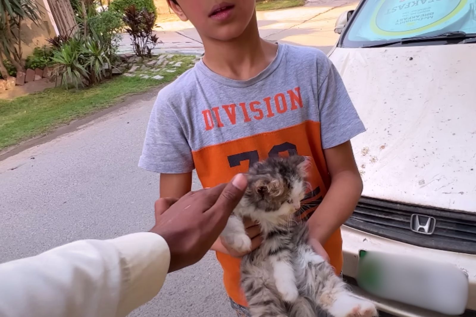 a boy holding a cat