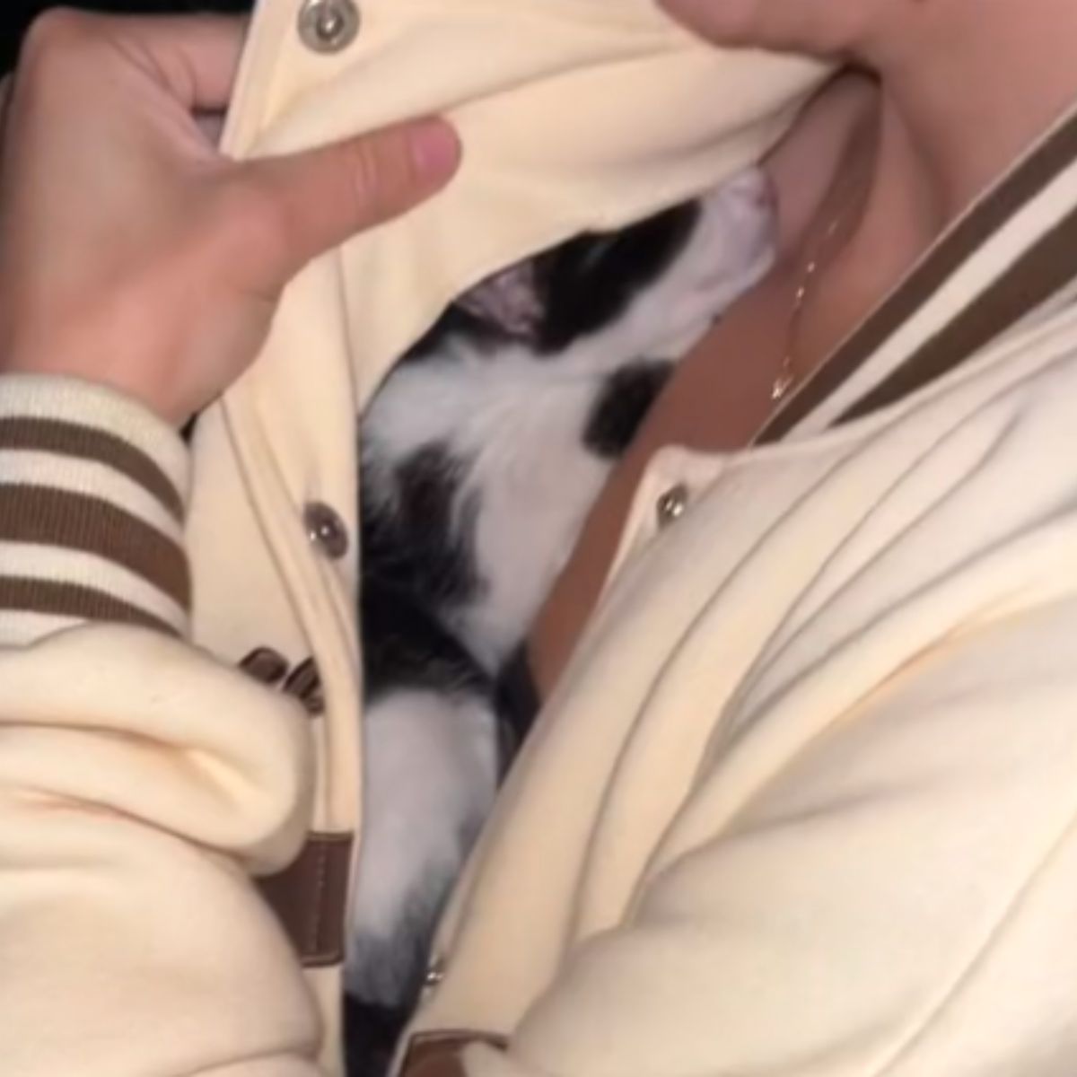 cat under woman's jacket