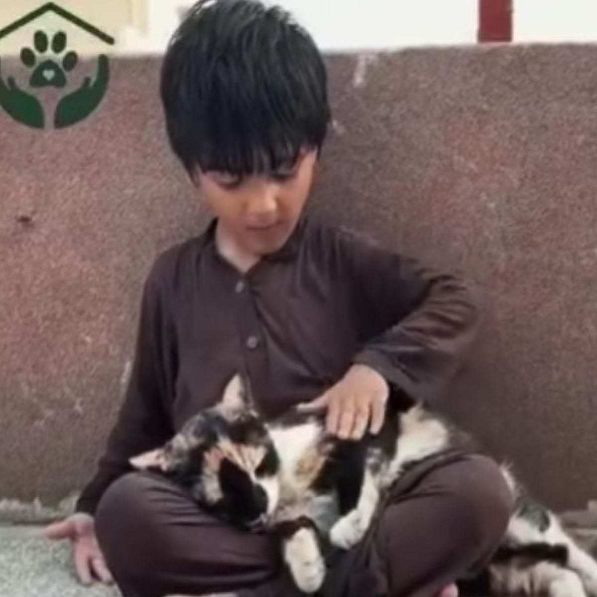 kid and injured cat