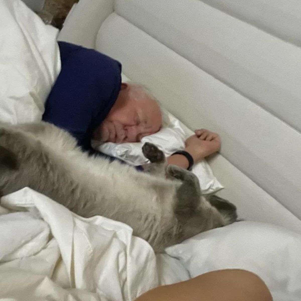 man and a cat sleeping in bed