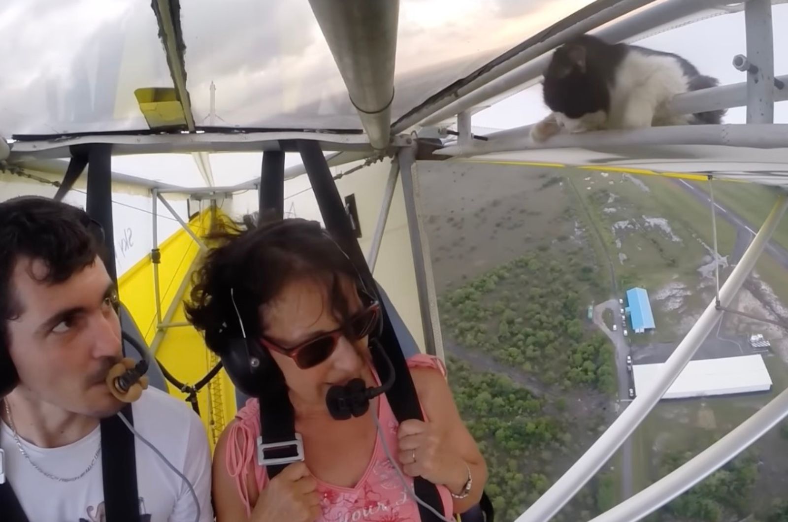 man and woman in a plane looking at cat