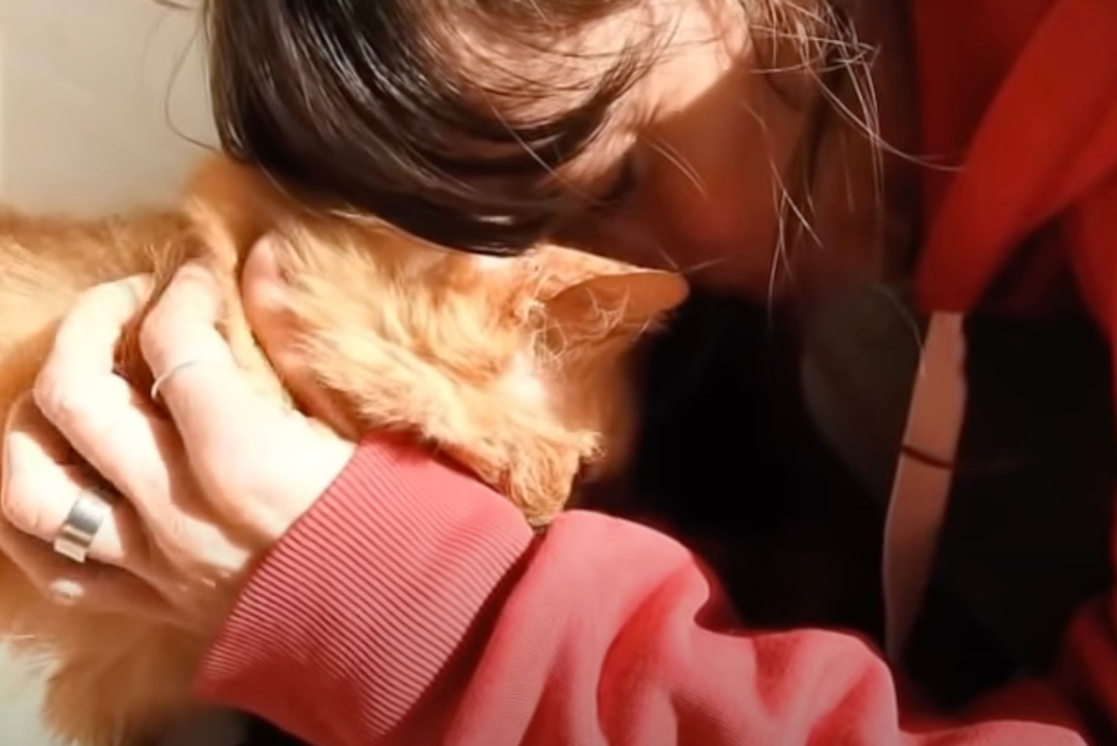 woman cuddling with senior cat