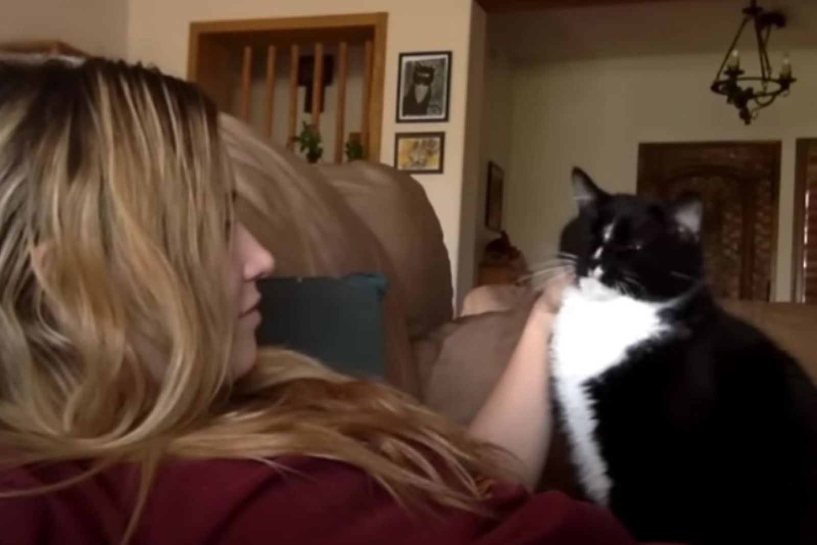 woman petting her cat