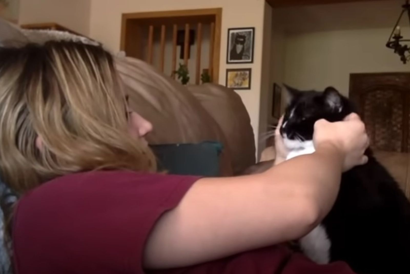 woman petting her tuxedo kitty