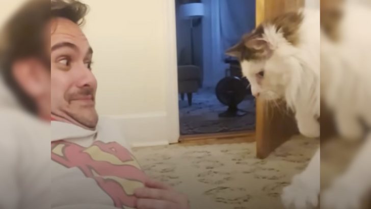 Adorable Foster Cat Can’t Stop Stalking Her New Dad But The Ending Will Melt Your Heart