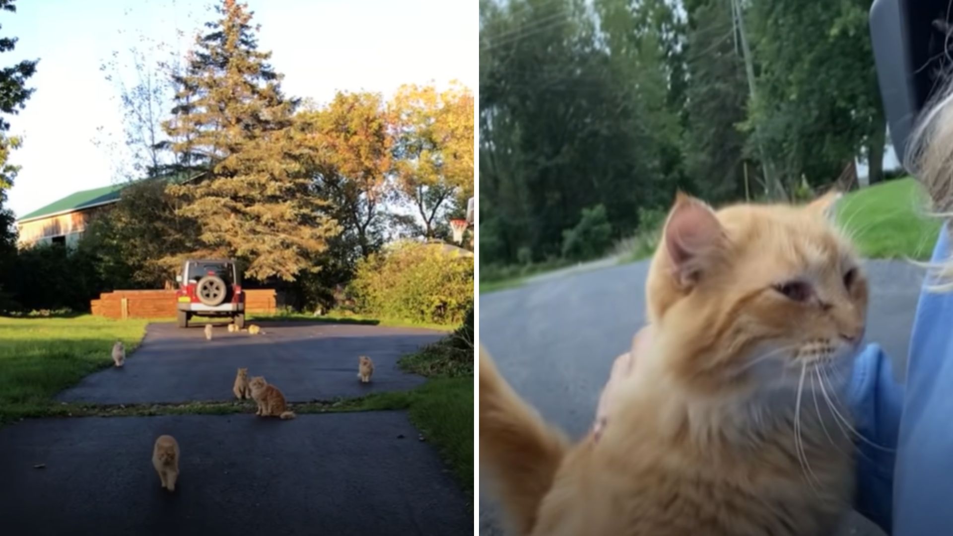 couple buys a farm with a surprise