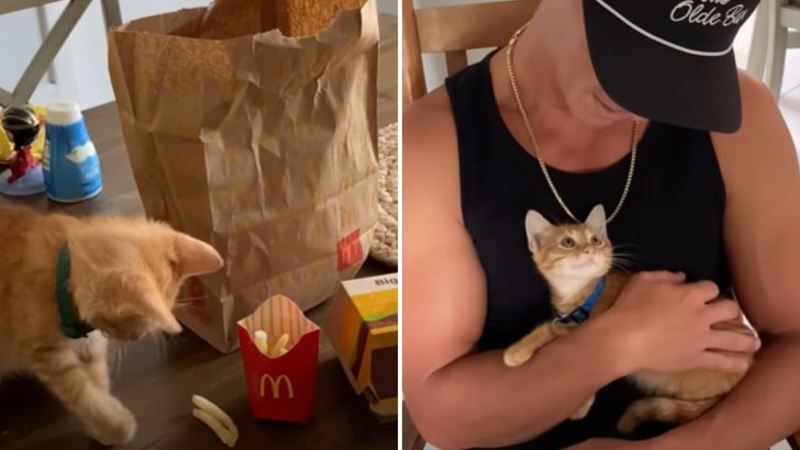 Florida Musician Goes To McDonald’s, Comes Back With A Furry New Bandmate