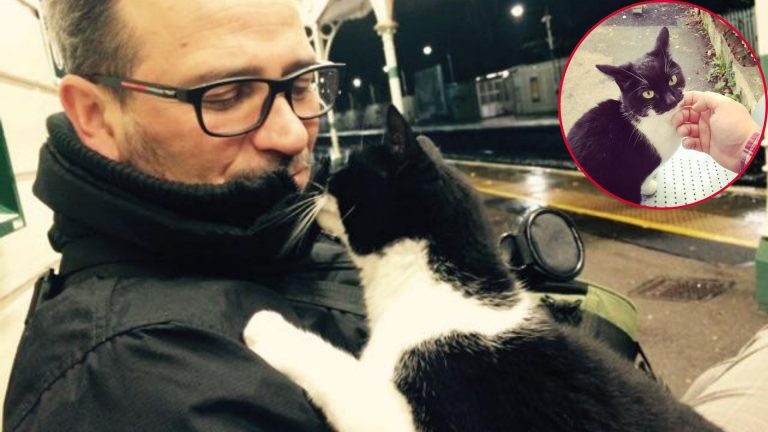 man holding a tuxedo cat