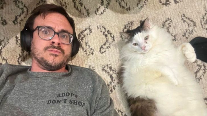 “He Became Obsessed With Me,” Shares Owner About His Stalker Foster Cat