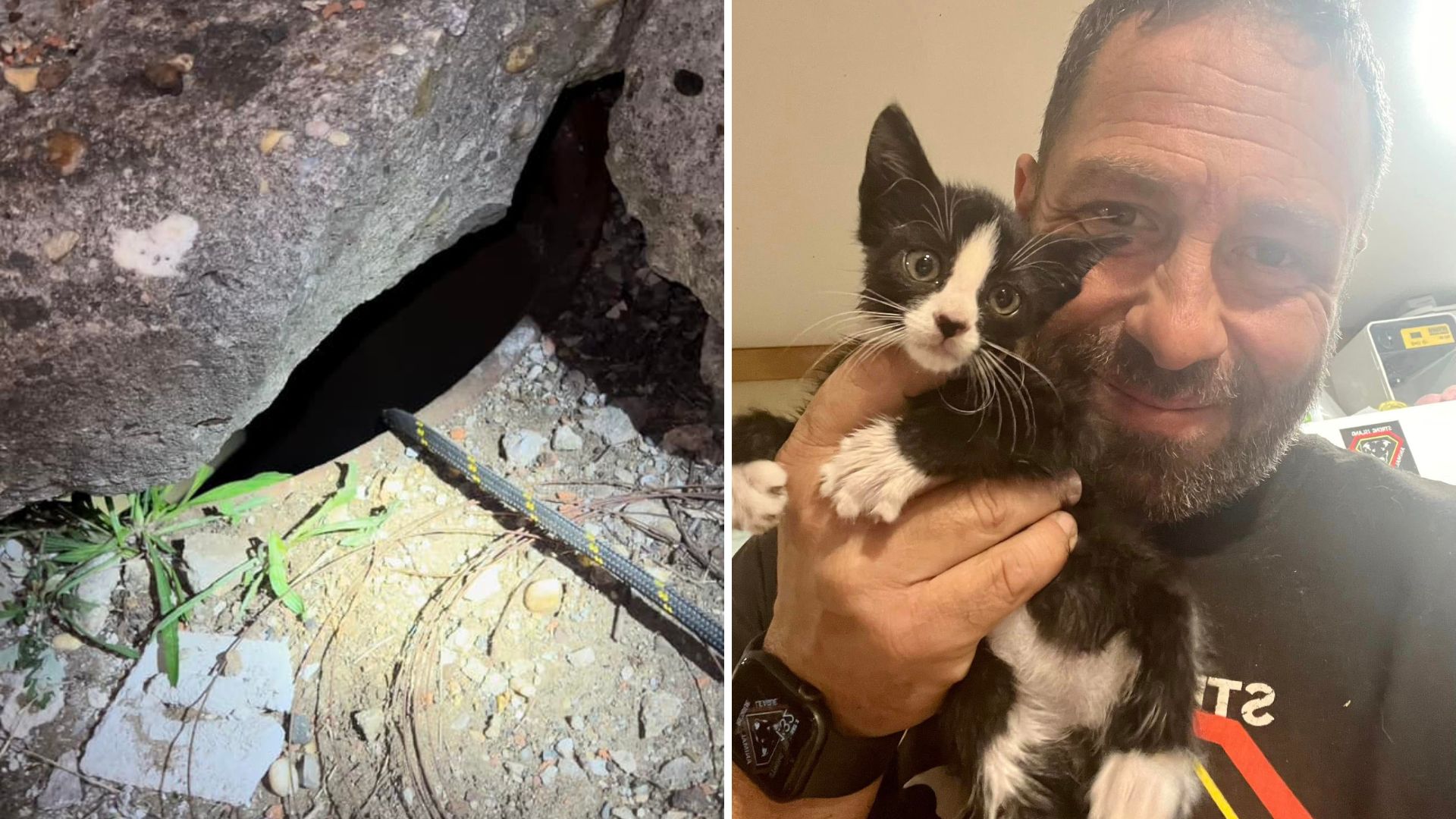 kitten rescued from storm drain