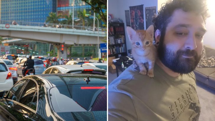 Man Saves A Clementine-Sized Cat From A Busy Overpass And It Becomes His Shoulder Buddy