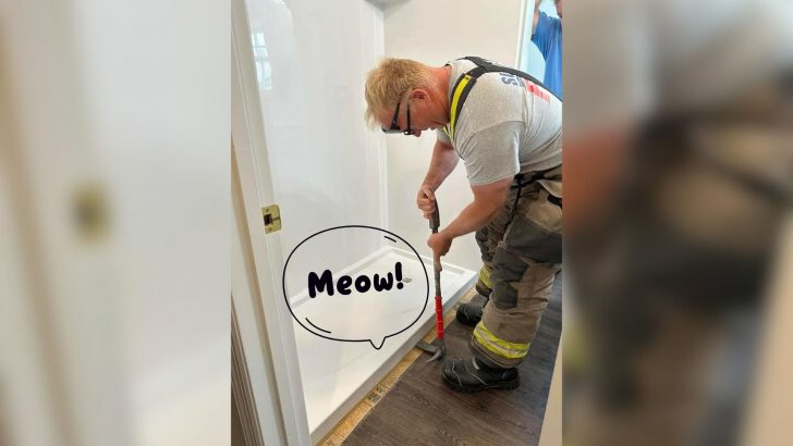 North Carolina Family Installs A New Shower Only to Realize Their Missing Cat Is Stuck Beneath