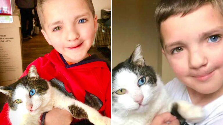 Oklahoma Boy Struggling With Rare Condition Finds An Unlikely Friend Who Has It Too