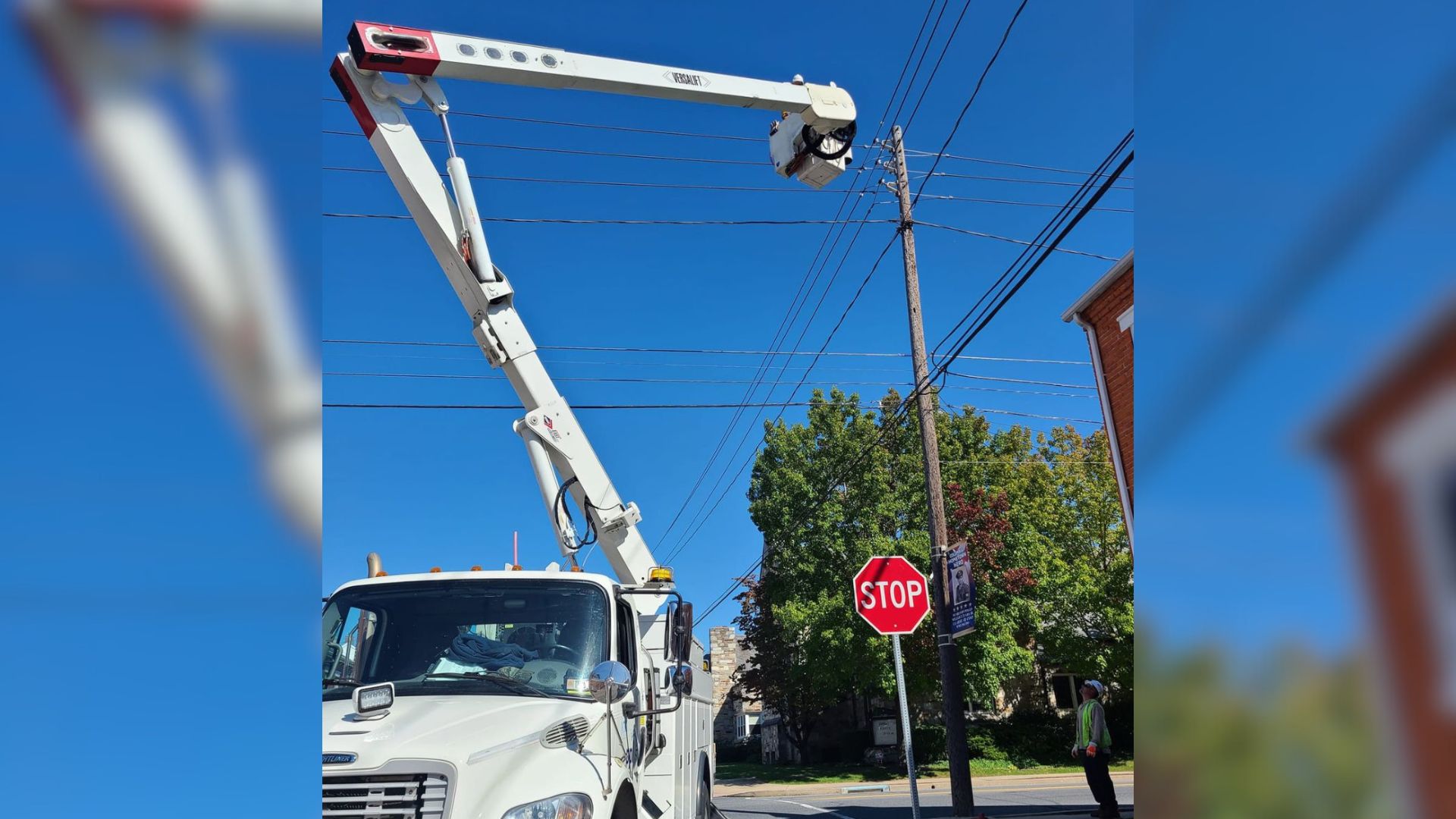 cat stuck on a telephone pole