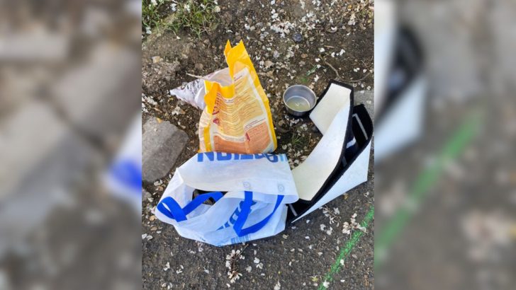 Plastic Bag Left In Front Of A Shelter Reveals Heartbreaking Contents