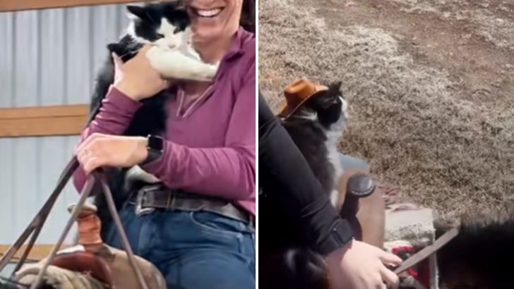 This Barn Cat Enjoys Horseback Riding And Even Has His Cowboy Hat 