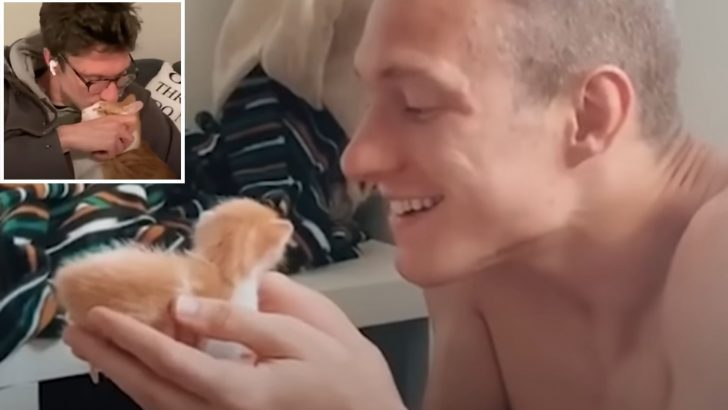 This Cat Decided To Steal His Mom’s Boyfriend Making Her A Third Wheel