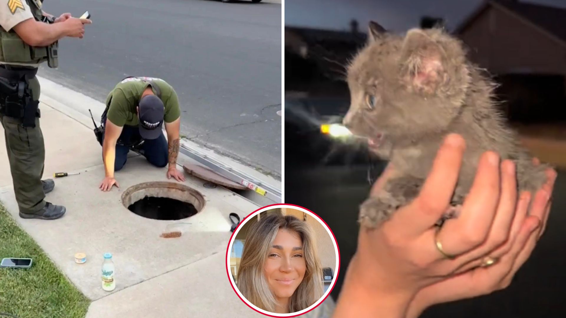 kitten in sewer