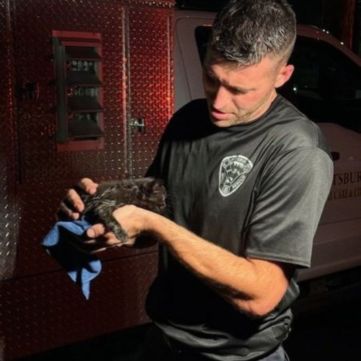a firefighter rescued tiny kitten