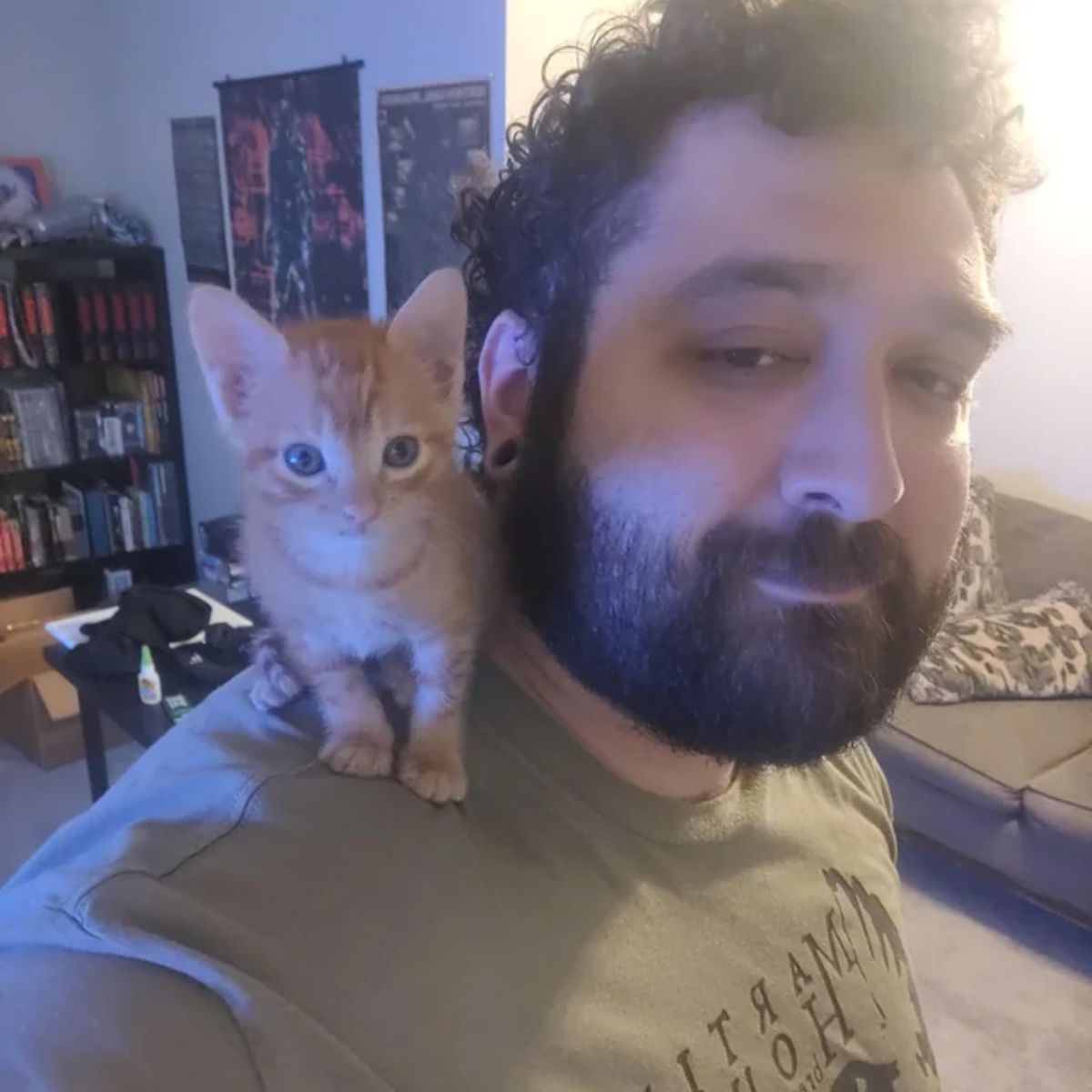 adorable ginger kitten on a owners shoulder