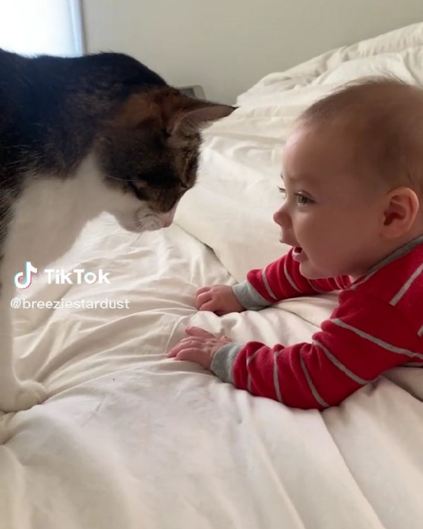 baby smiling to cat