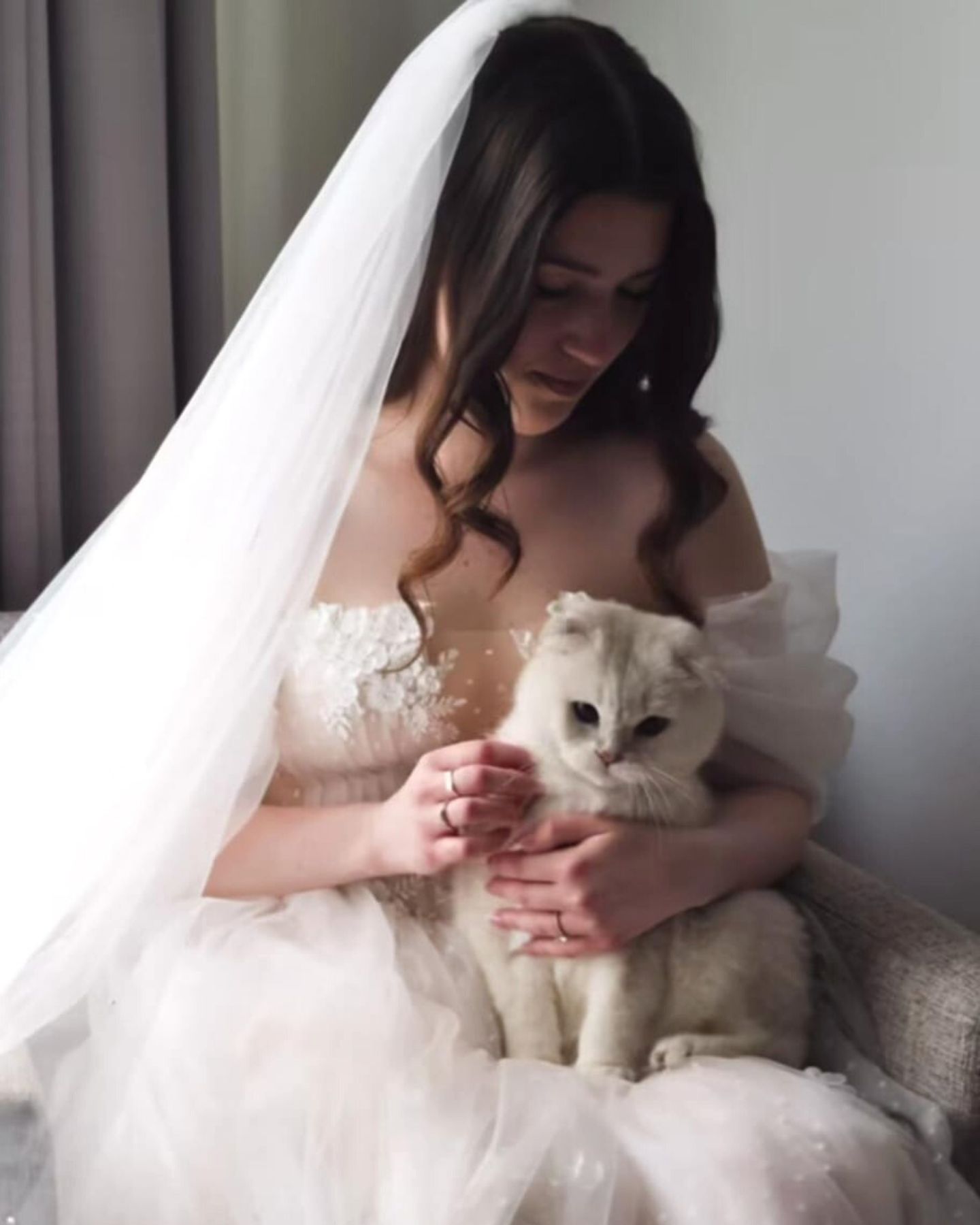 bride holding the cat