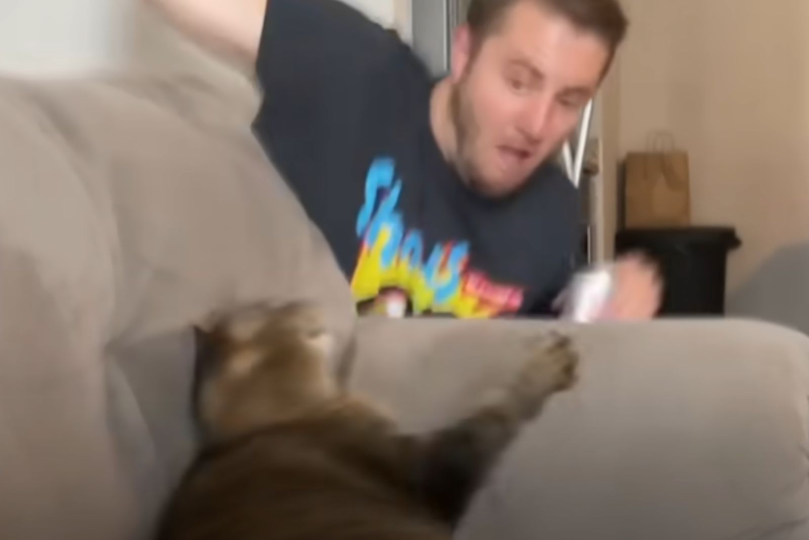 cat angry at uncle