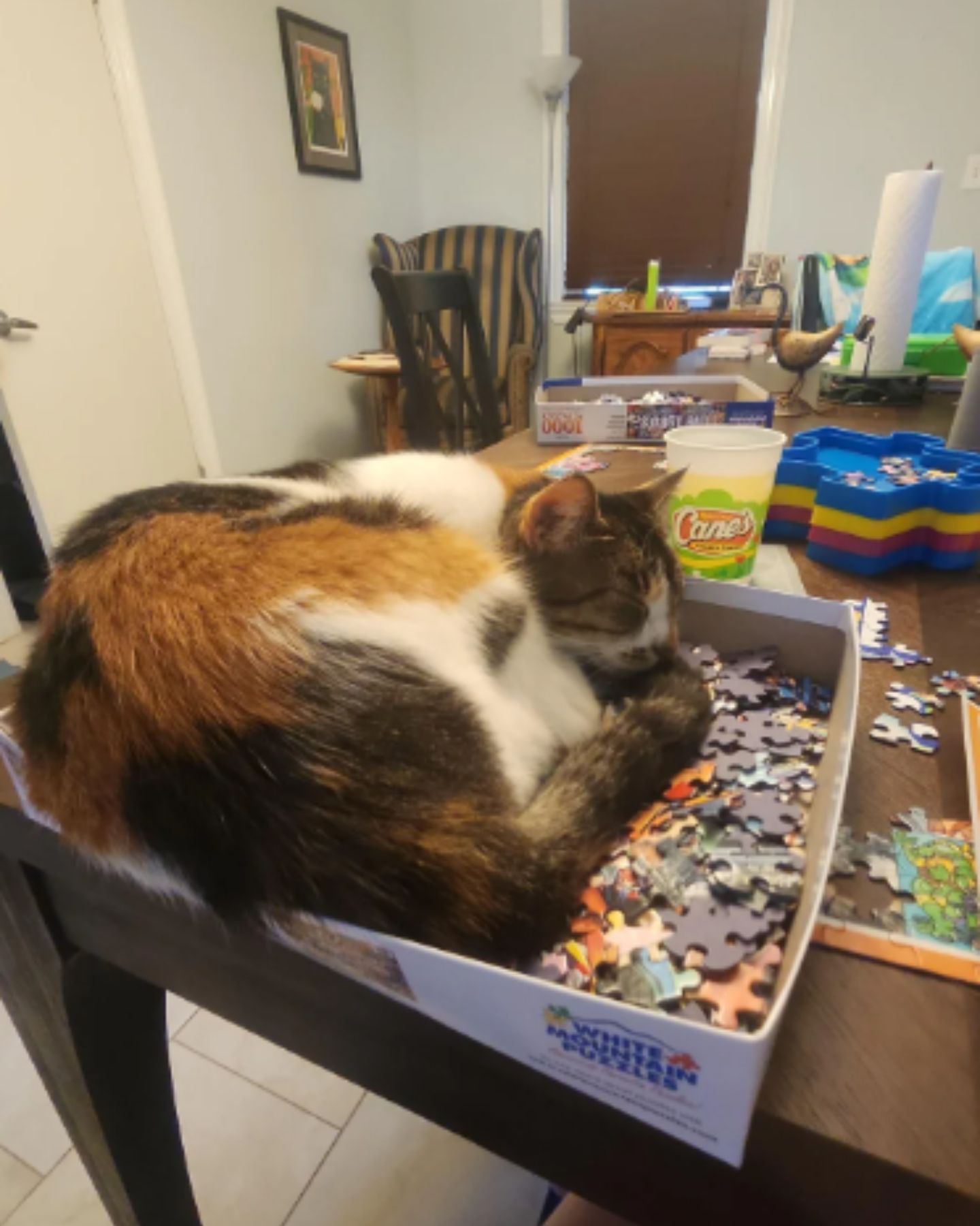 cat destroying puzzles