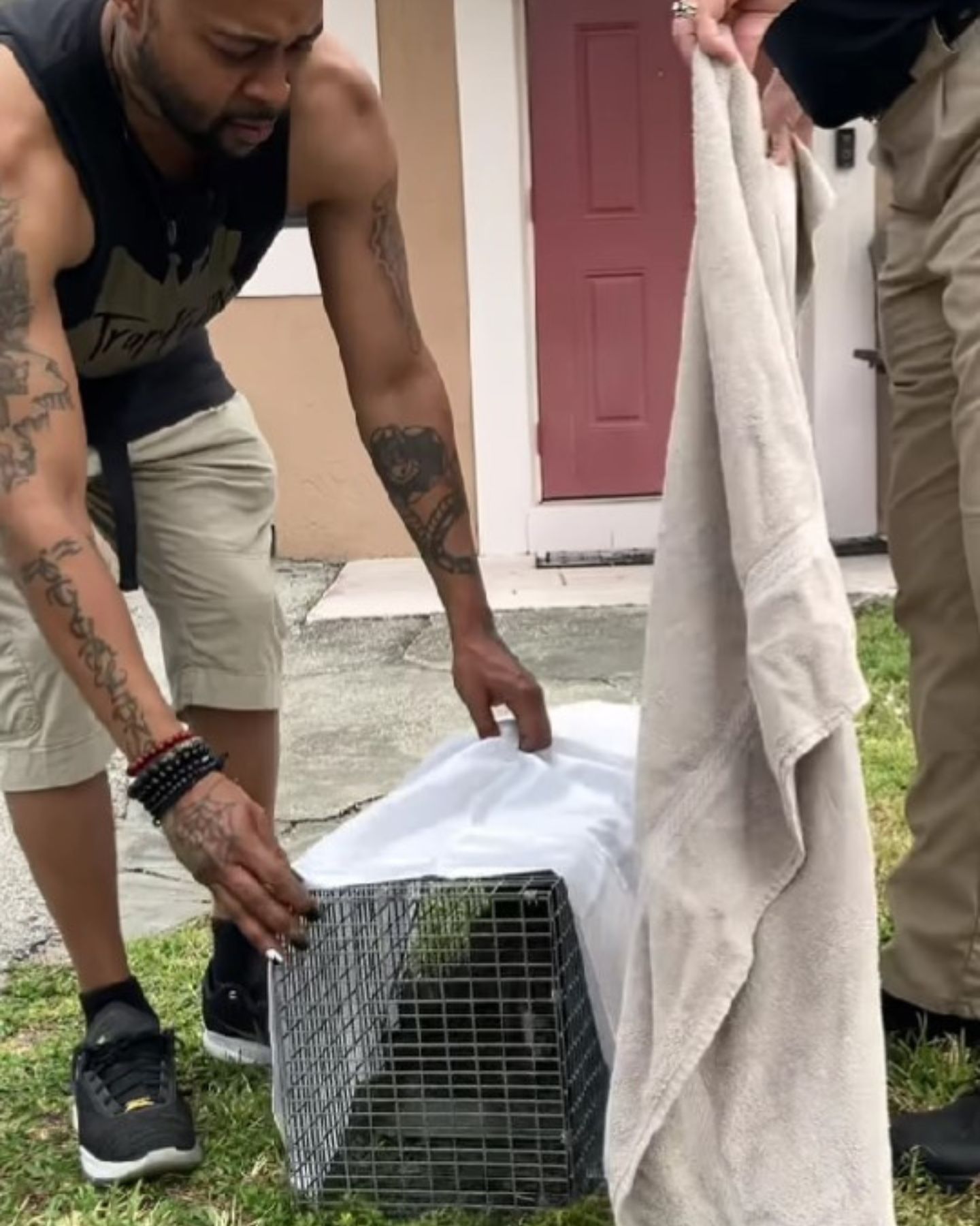 ex rapper rescuing stray kitten