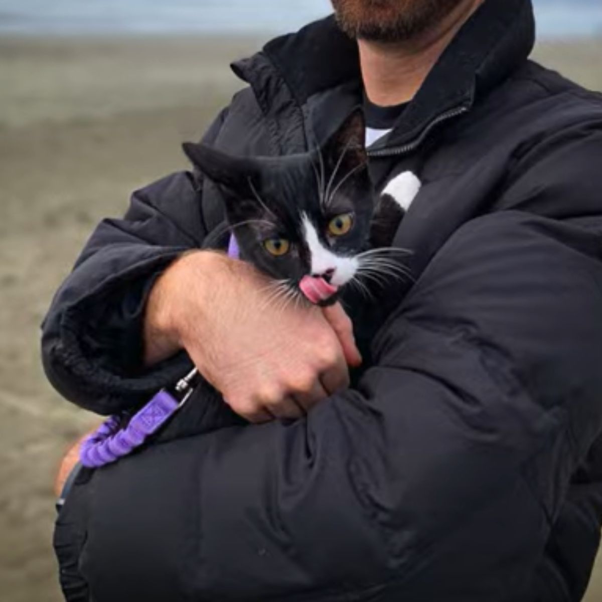 guy holding a black and white cat
