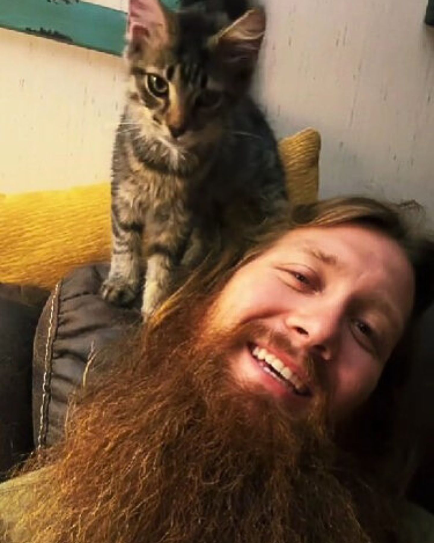 guy with beard and kitten