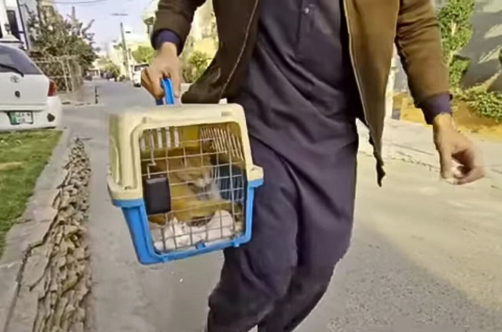 man carrying a cat in kennel