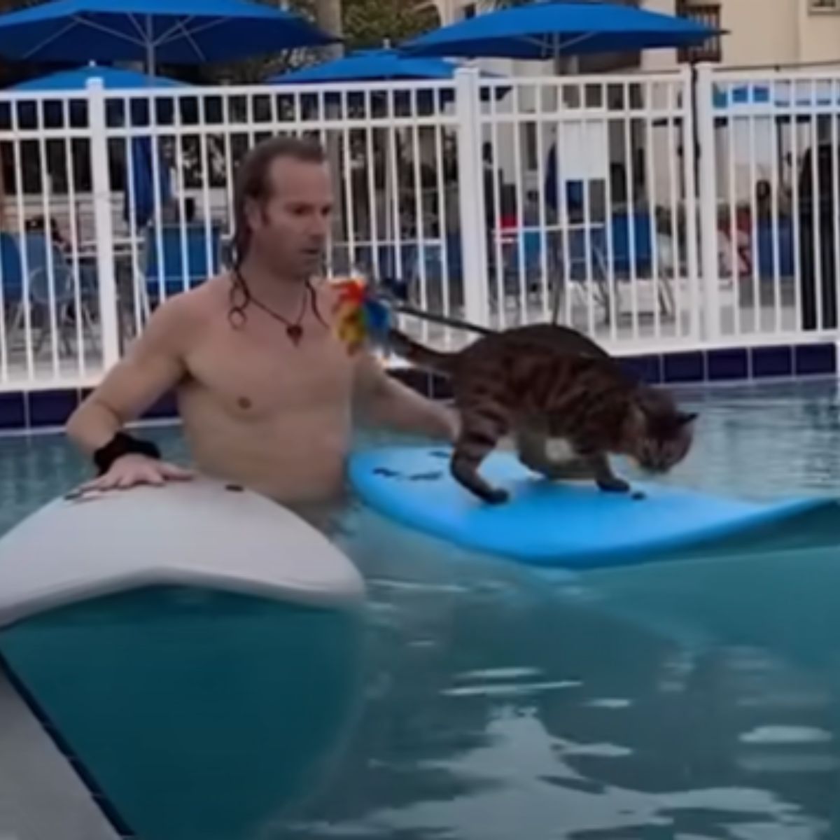 man holding cat on surf board