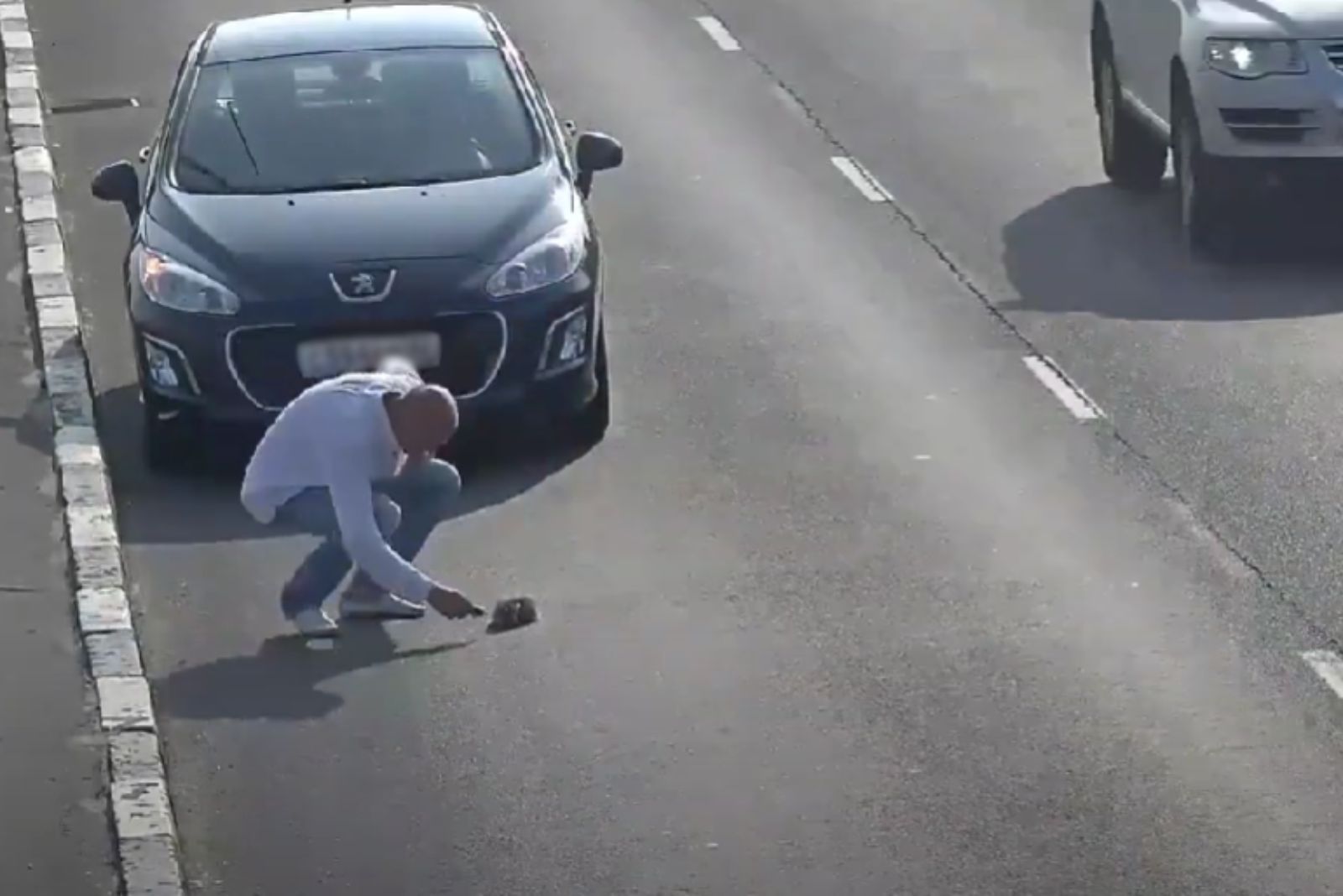 man looking at the kitten