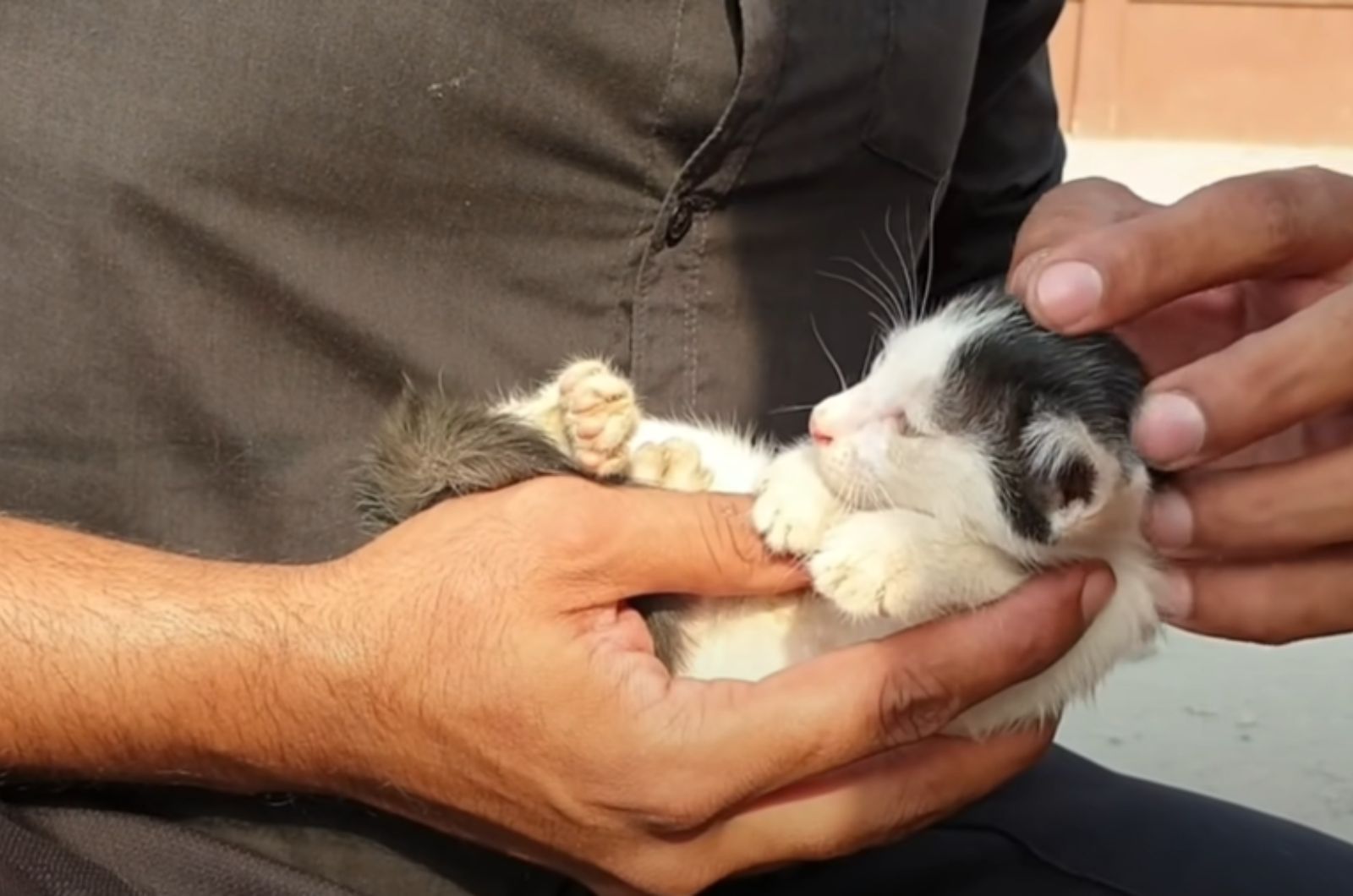 man petting very cute kitten