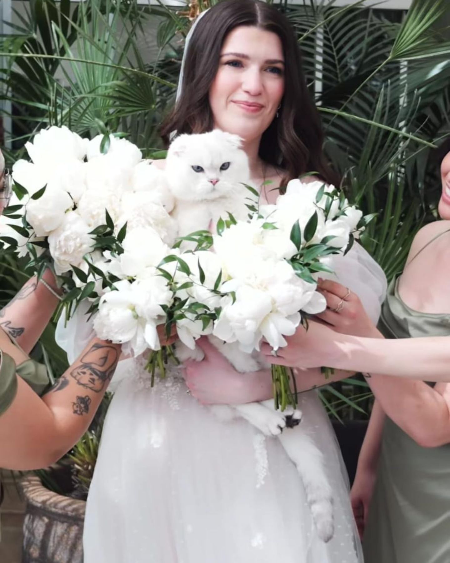 photo of bride and a cat