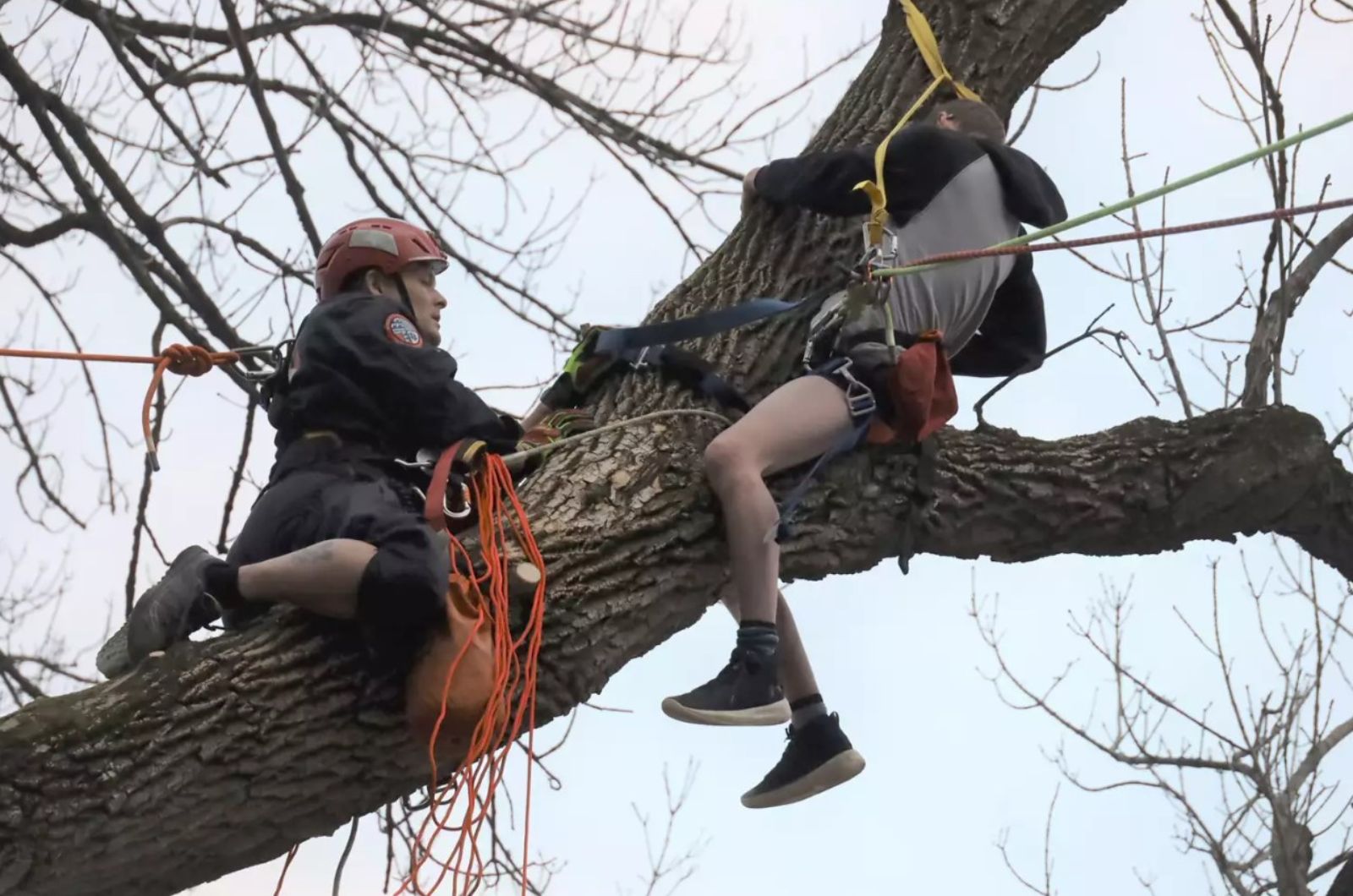 teen and rescuer on a tree