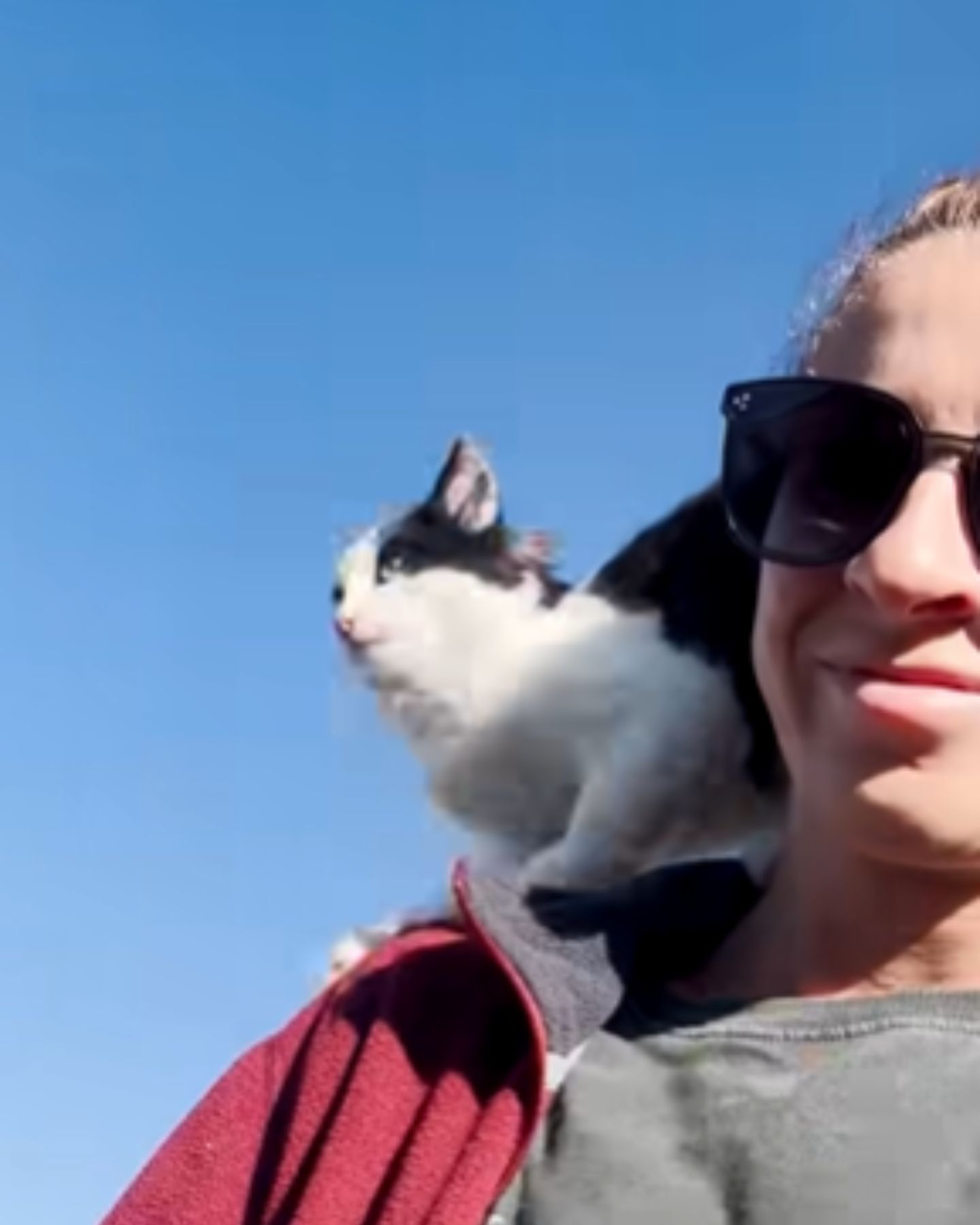 woman carrying a cat on the shoulder