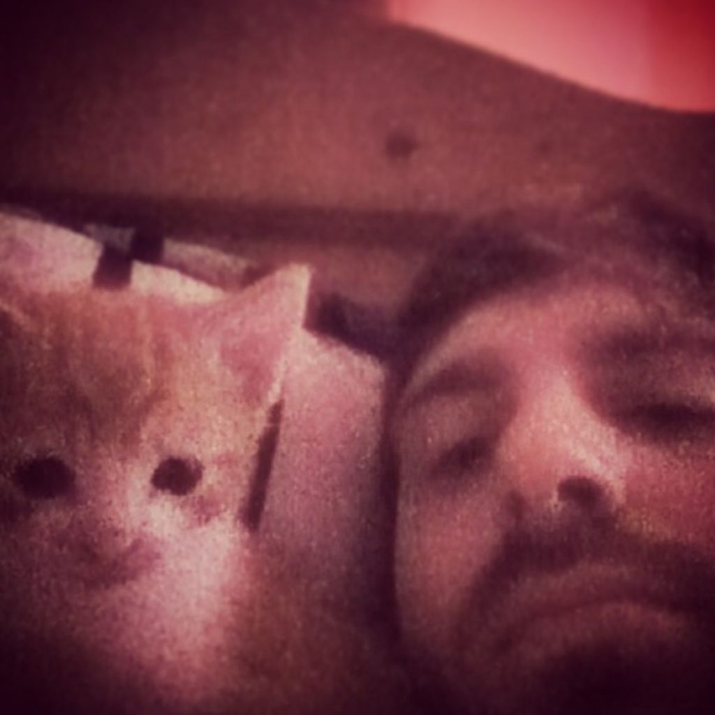 man and orange kitten