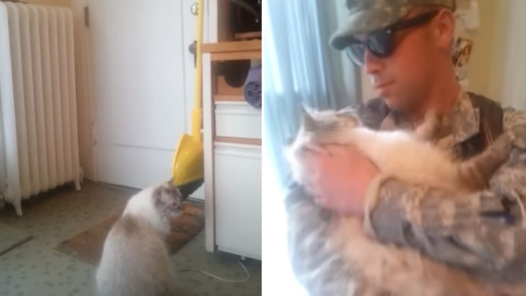 solider holding a cat