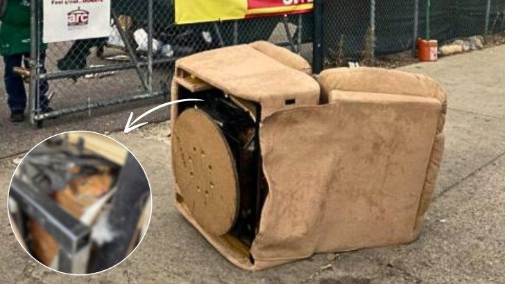 Denver Thrift Store Staff Discovers A Shocking Surprise Inside A Donated Recliner