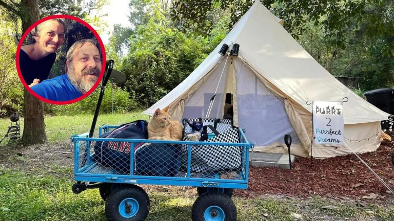 a tent with cat in front on wheels