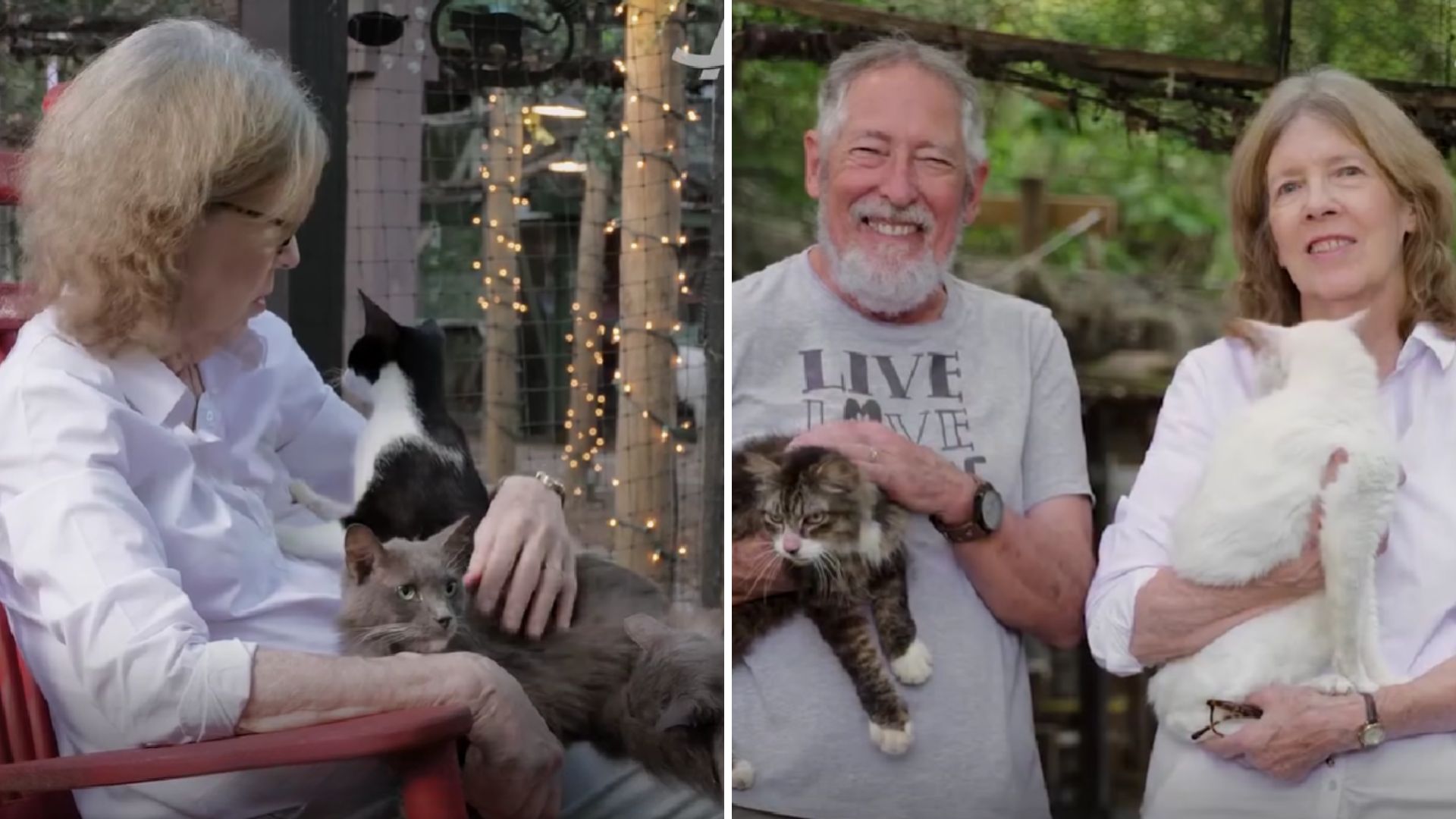 Florida couple and cats