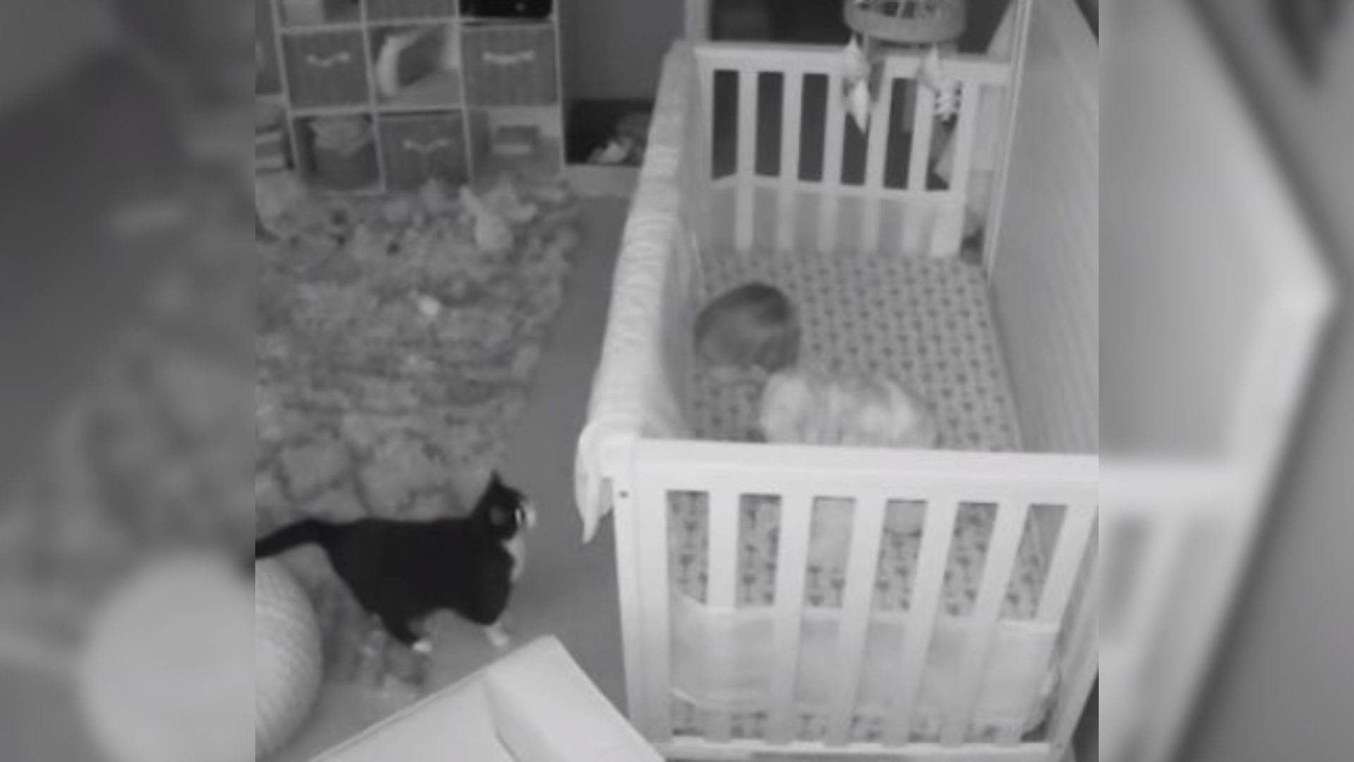 cat and baby on camera at night