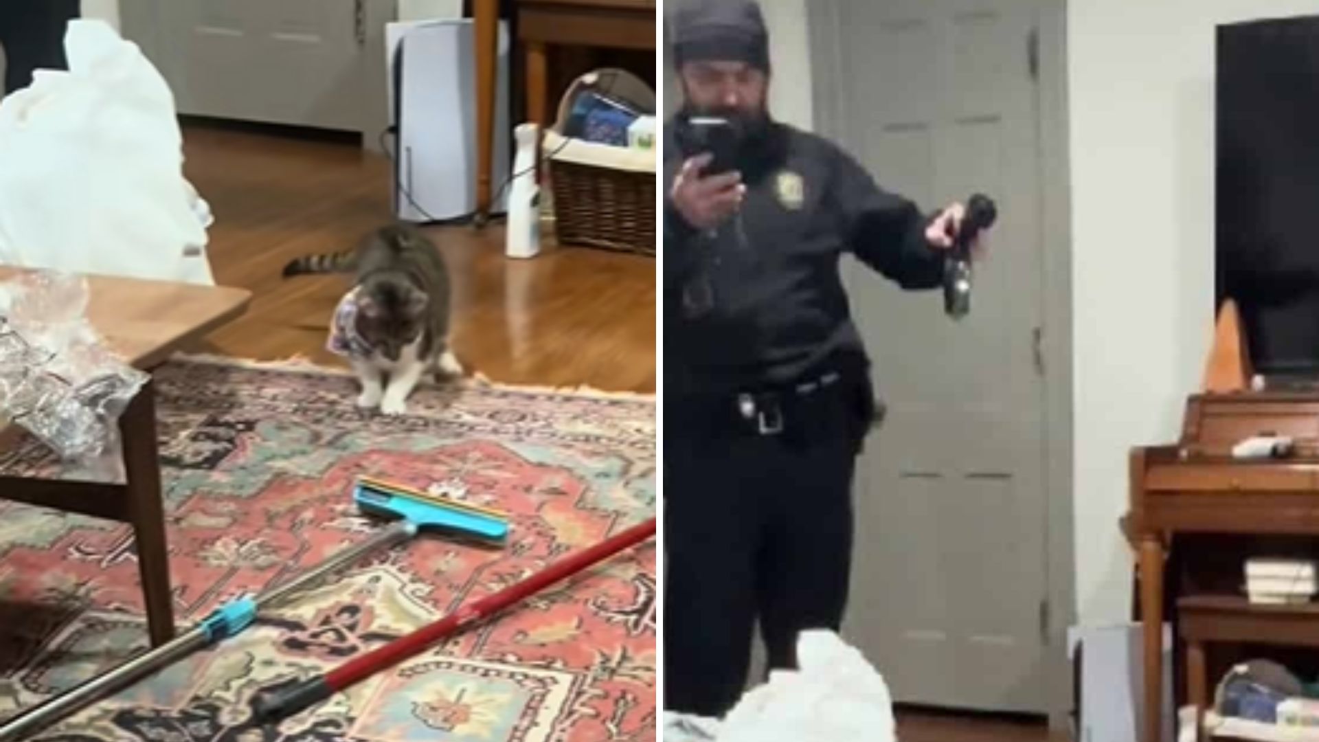 Kentucky Police Officer Develops Unexpected Bond With Playful Cat On Duty