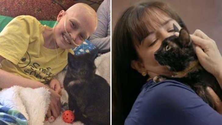 Terminally Ill Girl’s Wish To Spend Her Last Days With A Cat Leads To A Beautiful Ending