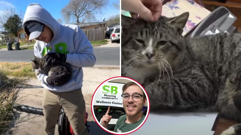 man and injured cat